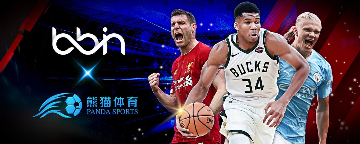 球员与团队 球员与团队